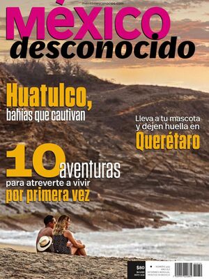 cover image of México Desconocido